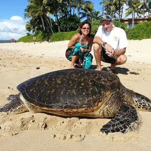 Meet your Posher, Jinsoo